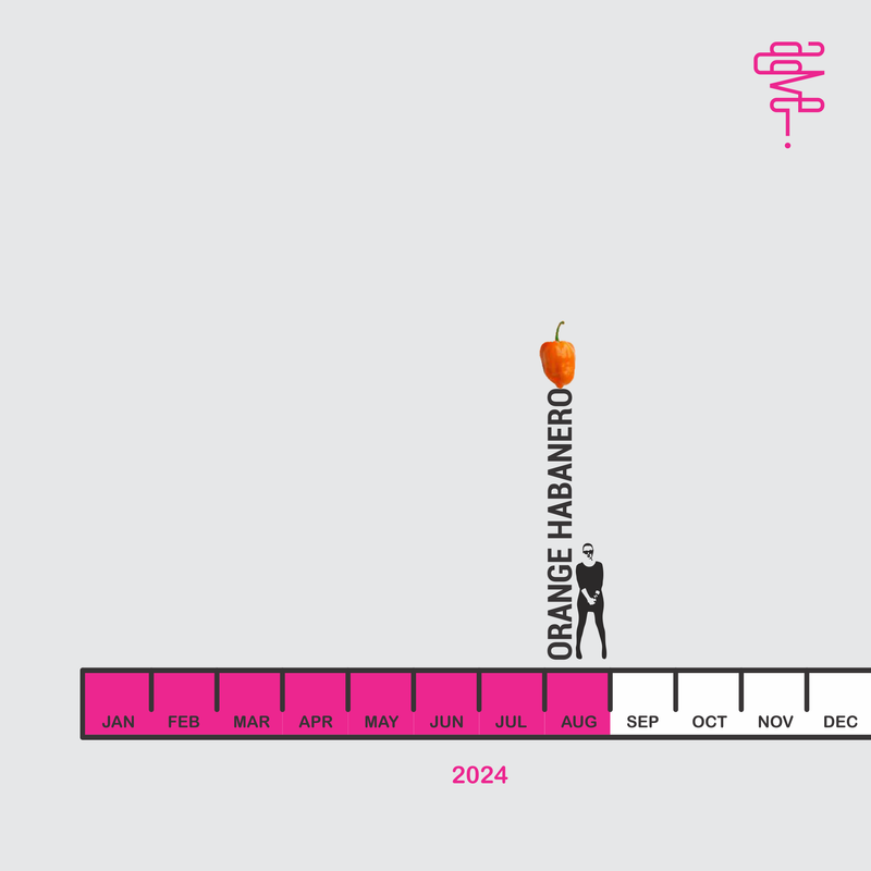 8: OrANGE Habanero Chili Pepper Vibes